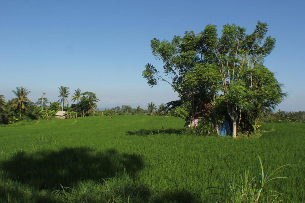 Telagamas Guest House Banjarangkan エクステリア 写真