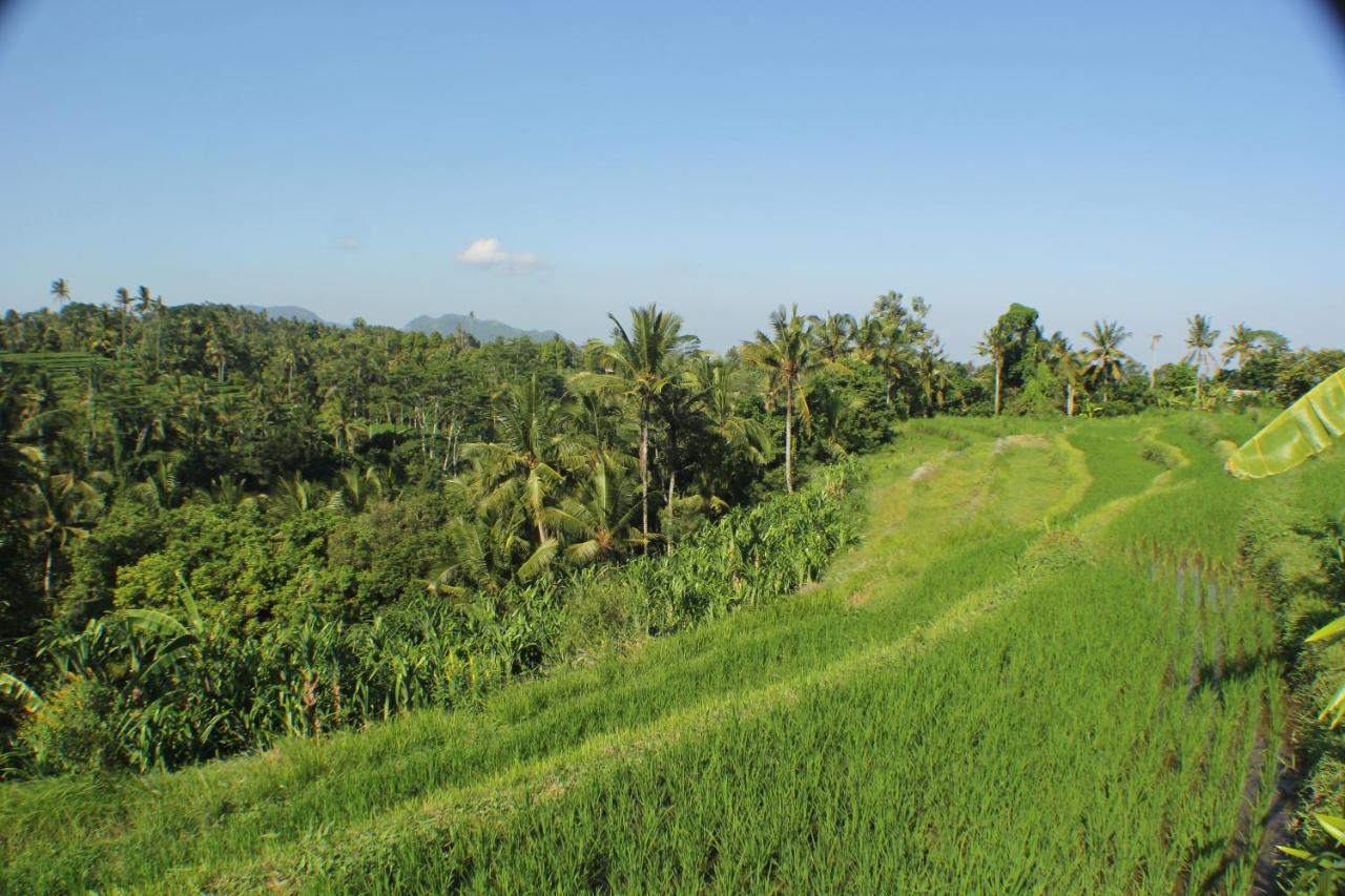 Telagamas Guest House Banjarangkan エクステリア 写真