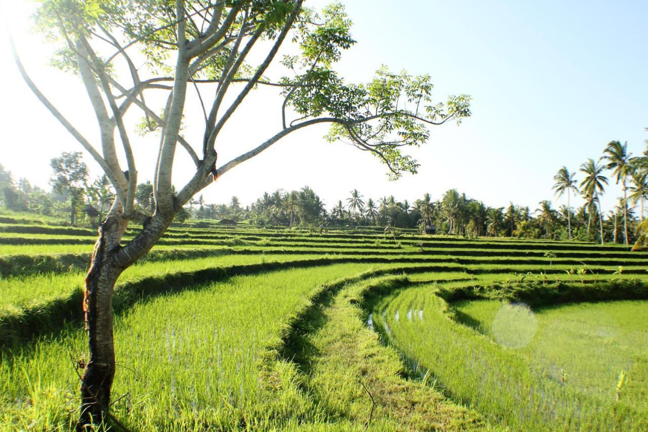 Telagamas Guest House Banjarangkan エクステリア 写真