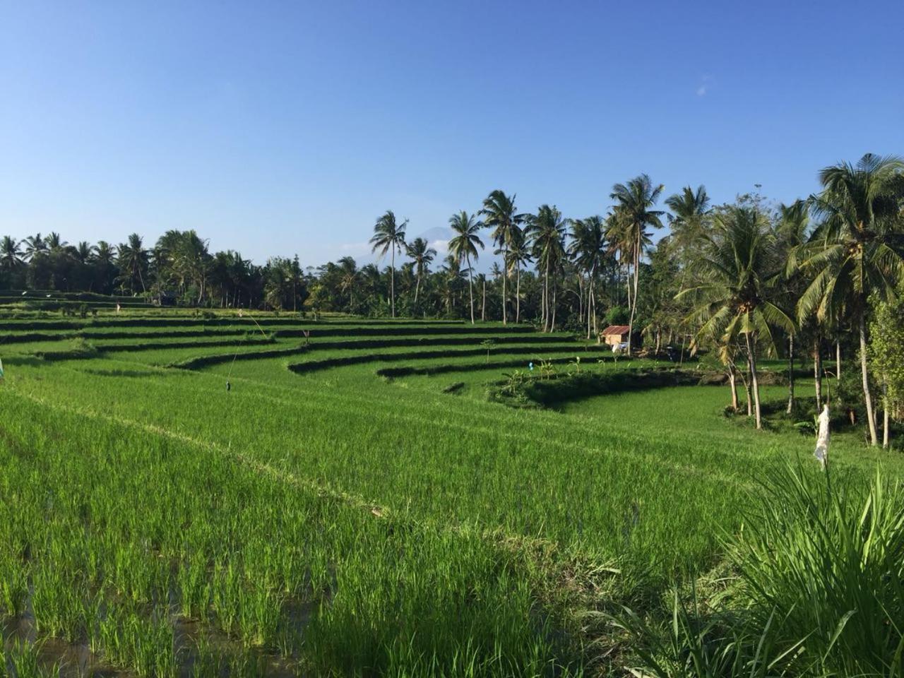 Telagamas Guest House Banjarangkan エクステリア 写真